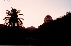 854  1988 CATHEDRALE ET PALMIER